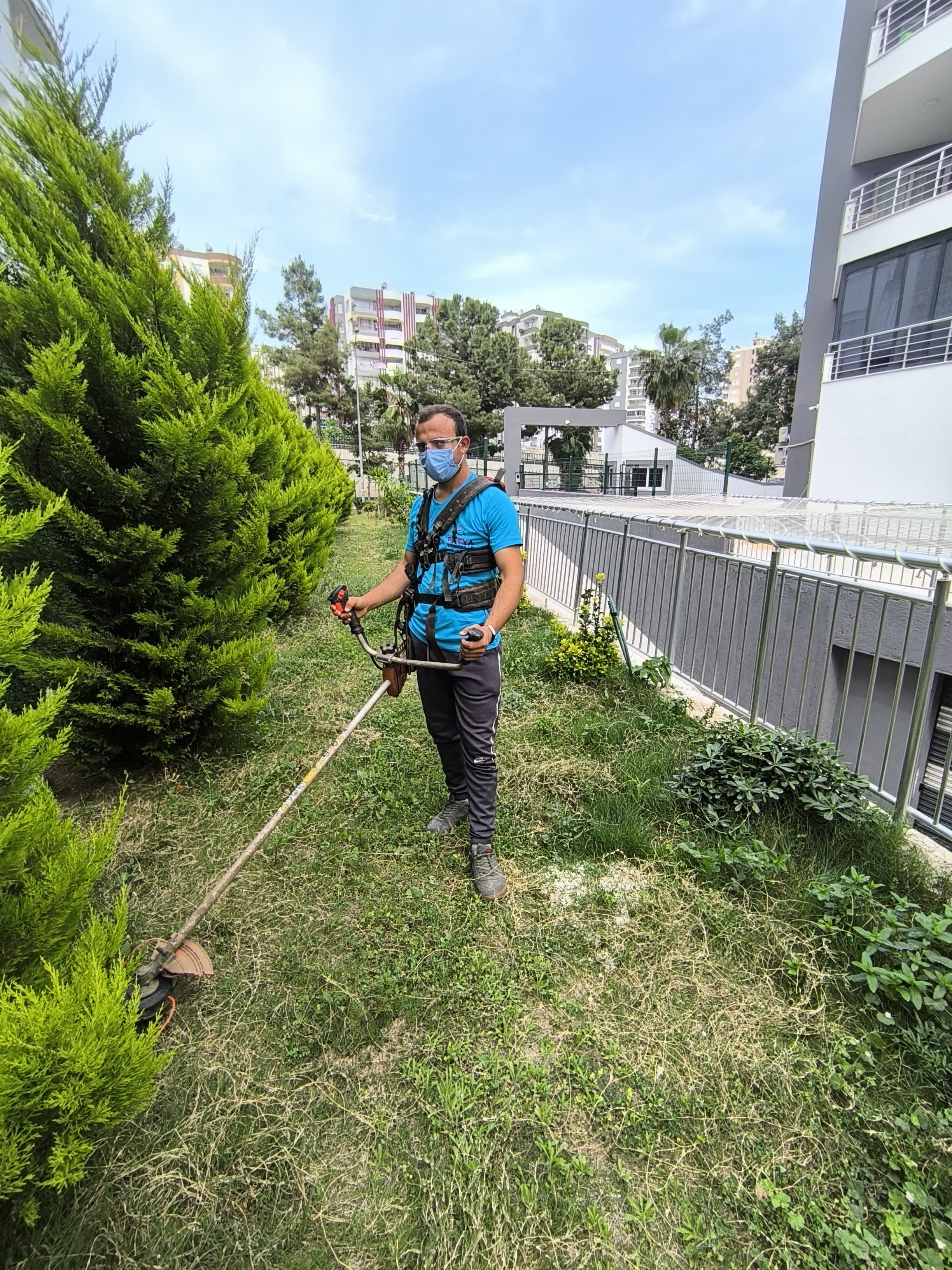 Profesyonel Bahçe Bakımı
